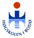 Bodo University